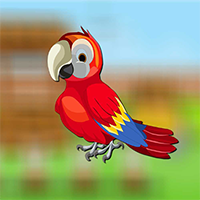 Cute Parrot Escape 